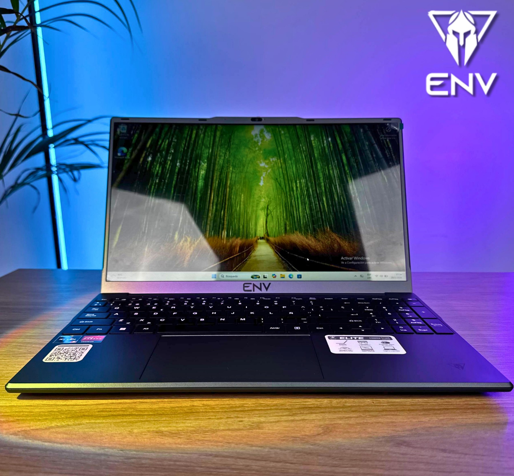 Env Elite Amd R5-3500u